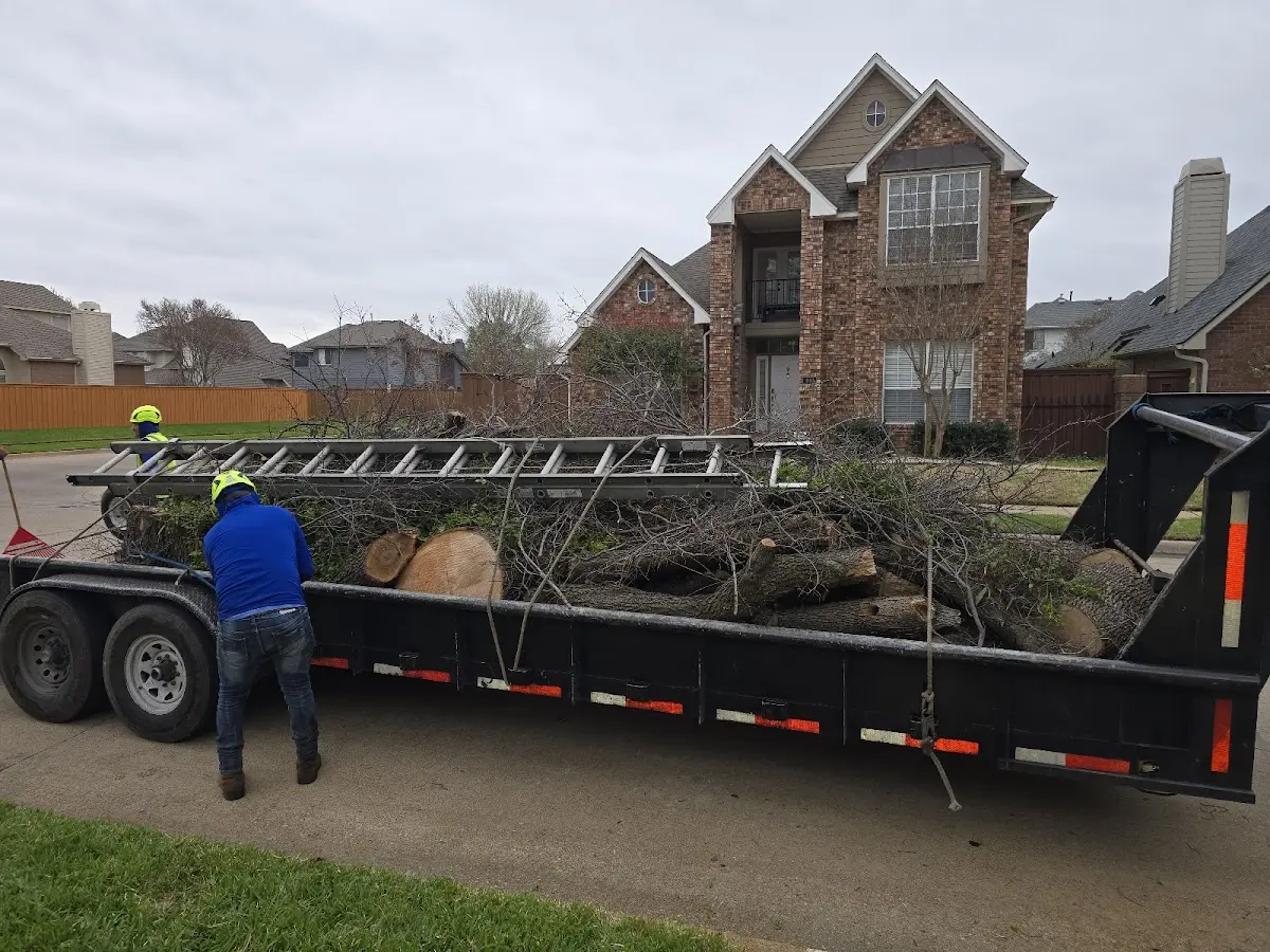 Expert Tree Pest Control with proper safety equipment in Bertha